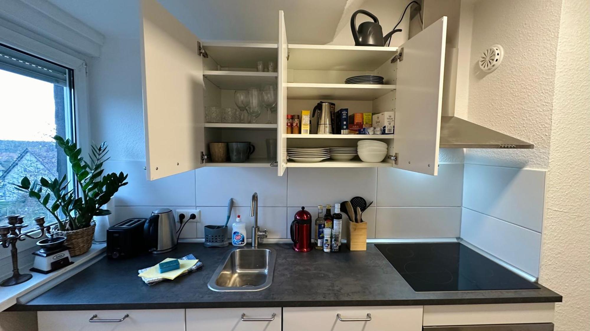 Micasa Tuсasa - 2-R-Apartment Leipziger Neuseenland Hydra Borna Dış mekan fotoğraf